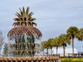 Pineapple Fountain and palm trees in Waterfront Park, Charleston, SC Royalty Free Stock Photo