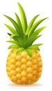 Pineapple Fruit Cartoon Emoji Icon