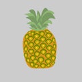 Pineapple Fruit Cartoon Vegetable Illustration Design
