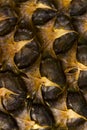 Pineapple fruit close-up. Texture of ananas pattern skin Royalty Free Stock Photo