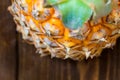 Pineapple fruit close-up. Texture of ripe ananas pattern skin. Royalty Free Stock Photo
