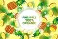 Pineapple fruit colorful circle copy space organic over fresh fruits pattern background healthy lifestyle or diet Royalty Free Stock Photo
