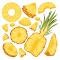 Pineapple fruit cut in half, fresh slice and piece, flying yellow segment, ripe circle