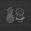 Pineapple Fruit Graphic Drawing. Sketch Of Pineapples With Chalk On Blackboard. Vector Illustration