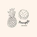 Pineapple Fruit Graphic Drawing. Sketch Of Pineapples On A White Background. Vector Illustration