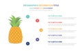 Pineapple fruit infographic template concept with five points list and various color with clean modern white background - vector