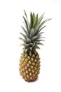 Pineapple local fruit Royalty Free Stock Photo