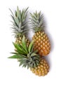 Pineapple local fruit Royalty Free Stock Photo