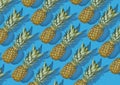 Pineapple fruit laying on light blue background