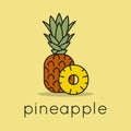 Pineapple fruit logo. Linear of pineapple slice