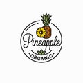 Pineapple fruit logo. Round linear of slice