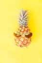 Pineapple fruit, minimal style Royalty Free Stock Photo