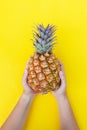 Pineapple fruit, minimal style Royalty Free Stock Photo