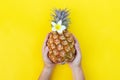 Pineapple fruit, minimal style Royalty Free Stock Photo