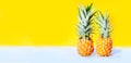 Pineapple fruit, minimal style Royalty Free Stock Photo