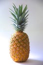 Pineapple. fruit shot. colorful shot. white background