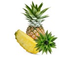 Pineapple fruit with slice iand head solated on white background, Fresh Pineapple on White Background With clipping path Royalty Free Stock Photo