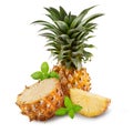 Pineapple fruit and Pineapple slices with fresh green basil herb leaves isolated on a white background Royalty Free Stock Photo