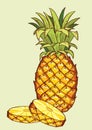 Pineapple fruit