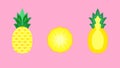 Pineapple Fruit Banner Vector