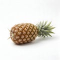 Pineapple Fruit Whole Pineapple Lying Down with Stem Royalty Free Stock Photo