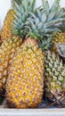 Pineapple fruit Yellow pines. Royalty Free Stock Photo