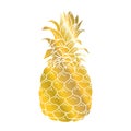 Pineapple gold icon. Tropical fruit, isolated on white background. Symbol of food, sweet, exotic and summer, vitamin