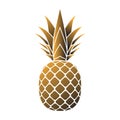 Pineapple gold icon