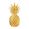 Pineapple gold icon