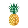 Pineapple golden with green leaf. Tropical gold exotic fruit isolated white background. Symbol of organic food, summer