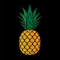 Pineapple golden with leaf. Tropical gold exotic fruit isolated black background. Symbol of organic food, summer