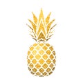 Pineapple golden with leaf. Tropical gold exotic fruit isolated white background. Symbol of organic food, summer