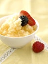 Pineapple granita with summer fruit Royalty Free Stock Photo