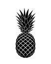 Pineapple graphic sign. Symbol tropical juicy fruit