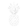Pineapple grunge with leaf. Tropical exotic fruit isolated white background. Symbol of organic food, summer, vitamin Royalty Free Stock Photo
