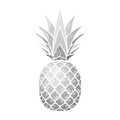 Pineapple grunge with leaf. Tropical exotic fruit isolated white background. Symbol of organic food, summer, vitamin