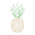 Pineapple grunge with leaf. Tropical gold exotic fruit isolated white background. Symbol of organic food, summer Royalty Free Stock Photo