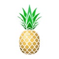 Pineapple grunge with leaf. Tropical gold exotic fruit isolated white background. Symbol of organic food, summer Royalty Free Stock Photo