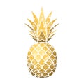 Pineapple grunge with leaf. Tropical gold exotic fruit isolated white background. Symbol of organic food, summer