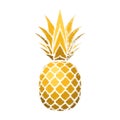 Pineapple grunge with leaf. Tropical gold exotic fruit isolated white background. Symbol of organic food, summer