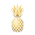 Pineapple grunge with leaf. Tropical gold exotic fruit isolated white background. Symbol of organic food, summer