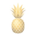 Pineapple grunge with leaf. Tropical gold exotic fruit isolated white background. Symbol of organic food, summer