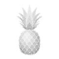 Pineapple grunge with leaf. Tropical silver exotic fruit isolated white background. Symbol of organic food, summer Royalty Free Stock Photo