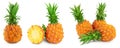 pineapple half and slices isolated on white background with full depth of field, Set or collection Royalty Free Stock Photo