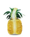 Pineapple half on white background Royalty Free Stock Photo
