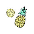 Pineapple hand drawing in doodle style