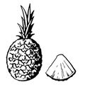 A pineapple. Hand drawing. Pineapple is drawn with felt-tip pen on paper. Whole and cut. Half. Black and white monochrome contour Royalty Free Stock Photo
