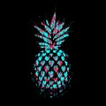 Pineapple. Hand drawn vector illustration isolated on black, logo, t-shirt design