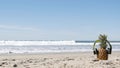 Pineapple in headphones, sandy ocean beach coast. Tropical summer exotic fruit. Ananas on shore.