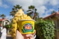 Pineapple Ice Cream at the Dole Pineapple Plantation in Wahiawa, Hawaii Royalty Free Stock Photo